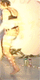 animated gif, detail from êkâya-pâhkaci