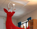 Conform, 2008, Installation, Syrofoam, Flocking, Antler, Digital Video, Silver Leafing, Wax, Size may vary